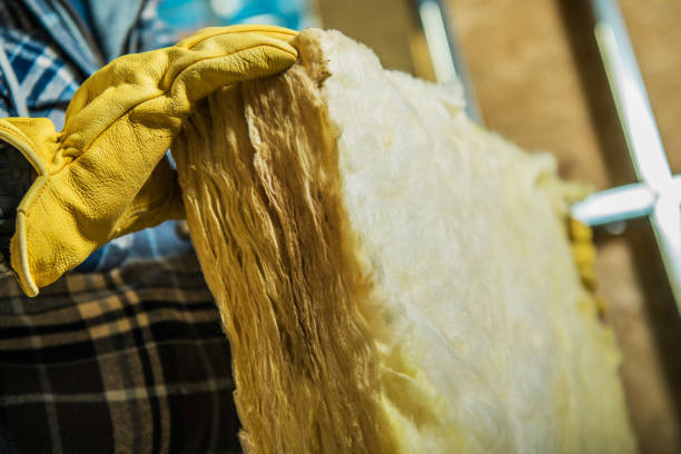 Best Residential Insulation in Wekiwa Springs, FL