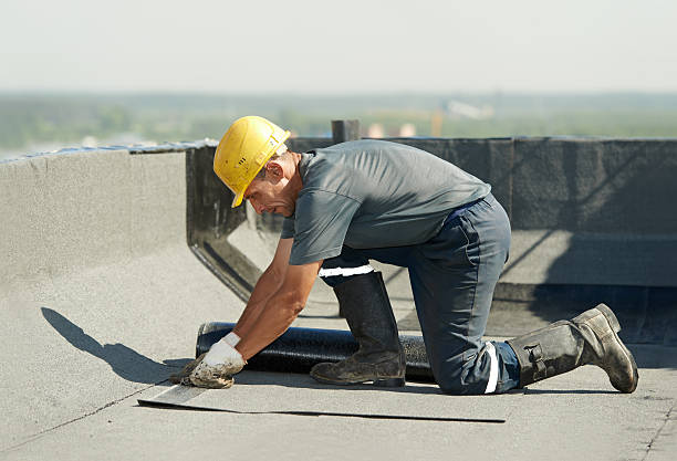 Best Insulation for Specific Applications in Wekiwa Springs, FL